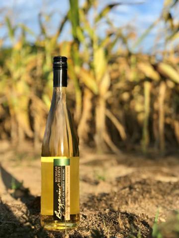 Wine bottle in a cornfield