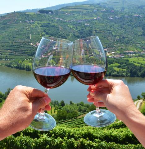Wine Classes in Portugal