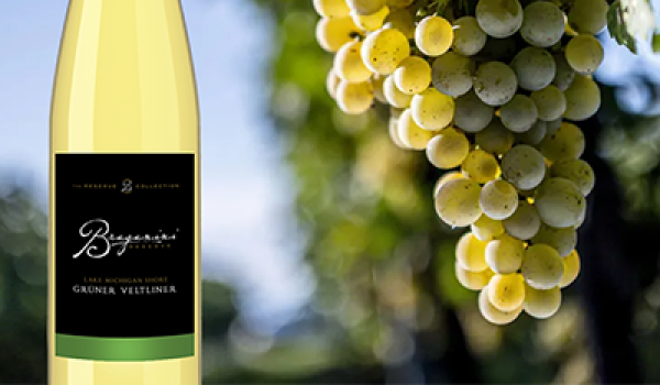 Exploring the Grüner Veltliner Grape