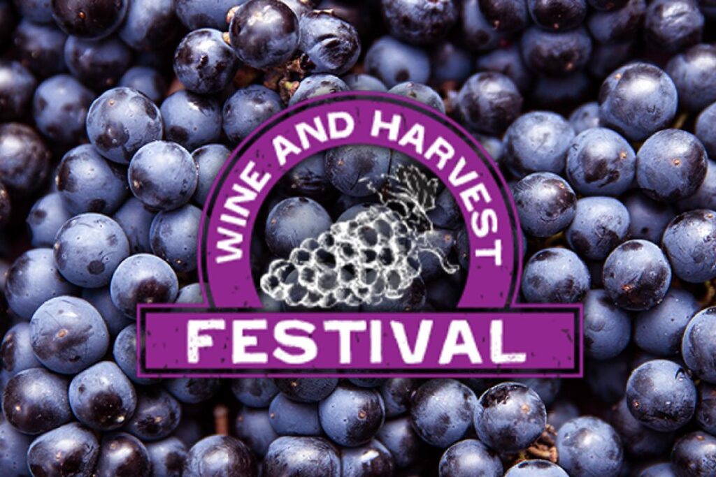 Wine & Harvest Festival 2024 – Paw Paw