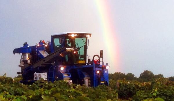 Grower Spotlight: The Oxley Family’s Legacy in Lawton’s Vineyards and Farms
