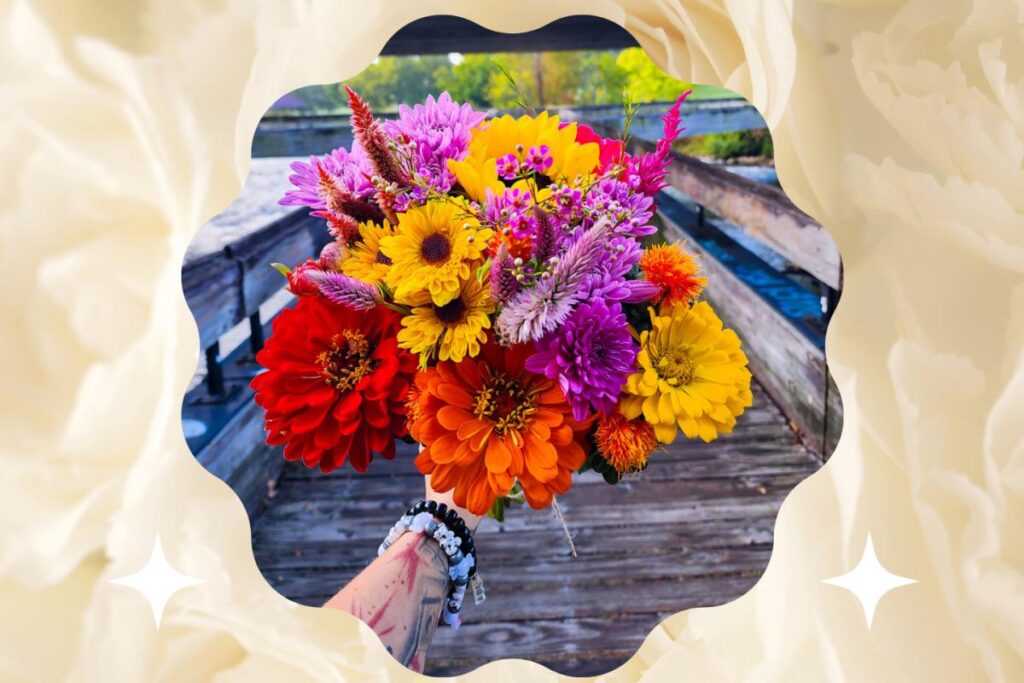 Days of Wine & Roses – Dundee