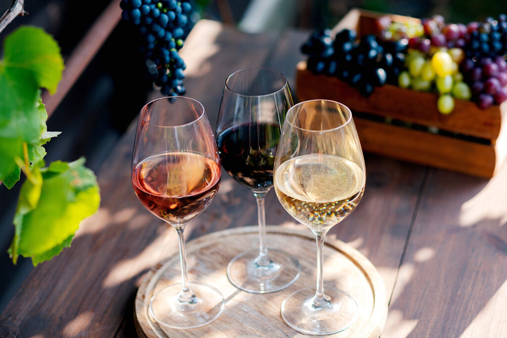 Meet the Grapes: A Simple Guide to Some Common Types