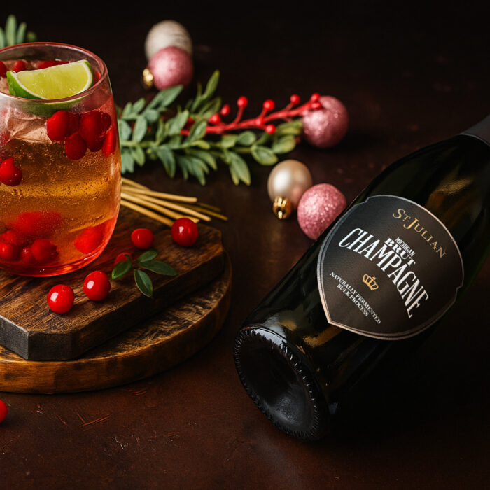 Cranberry Vodka Fizz