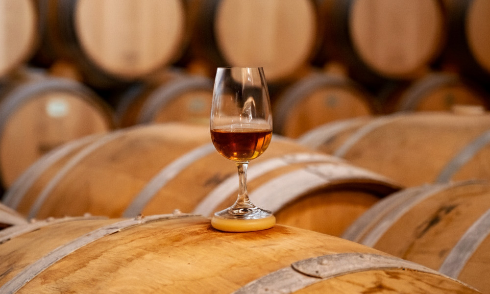 International Port Day Celebration