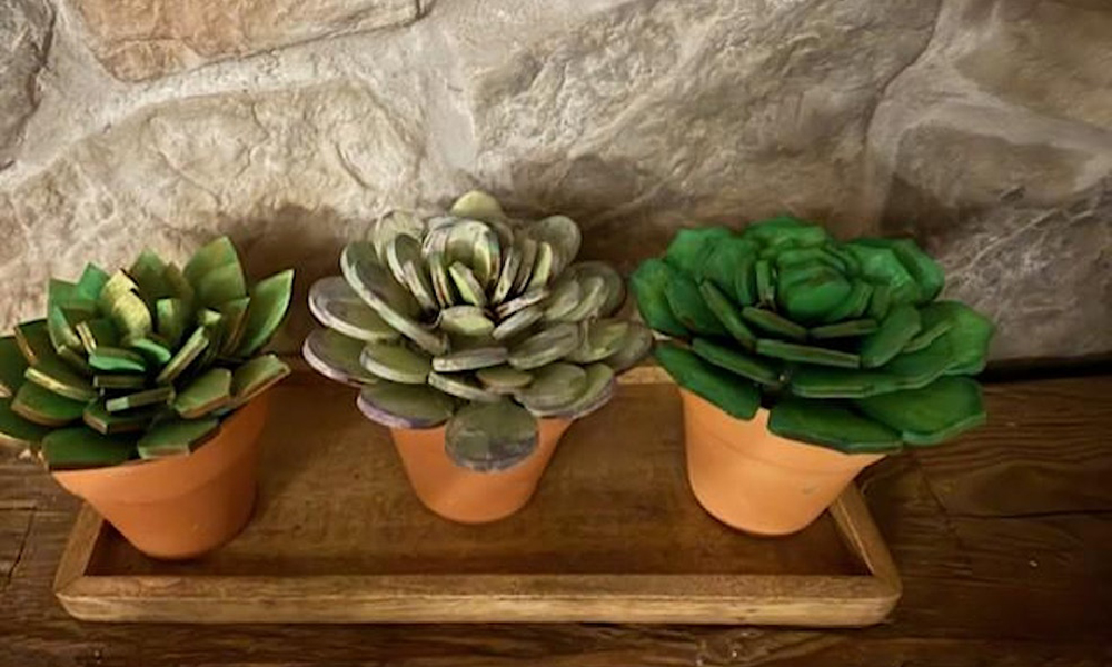 Wooden Succulents Craft Workshop
