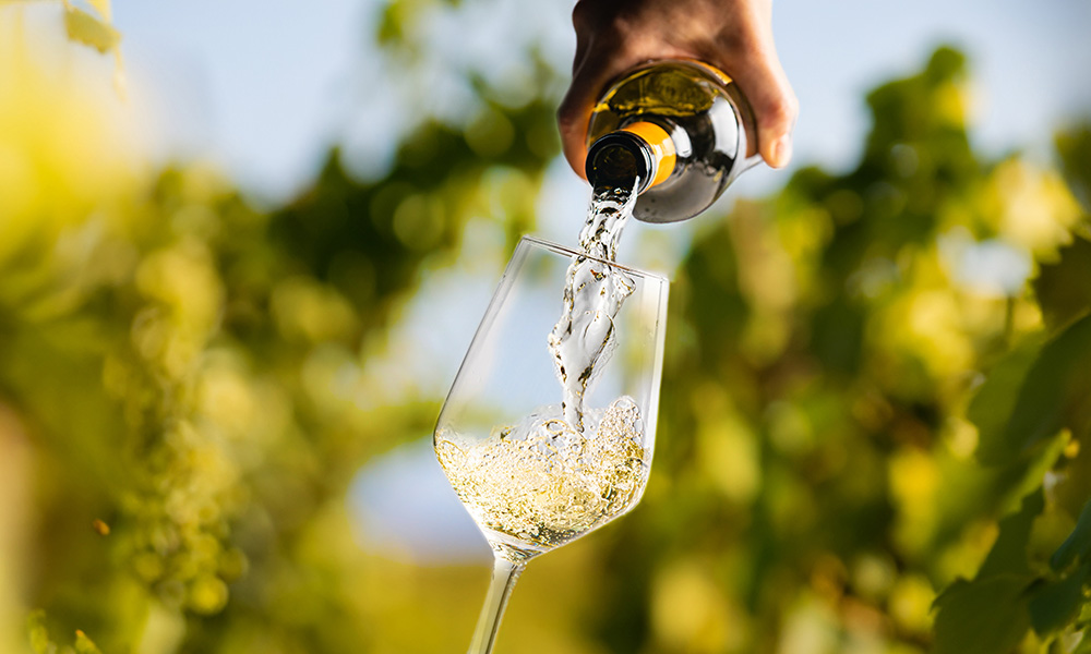 Wine Club 101: Earth Friendly Practices