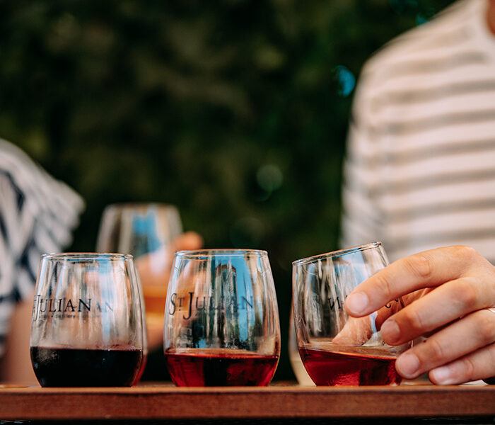 A Beginner’s Guide to a Wine Tasting