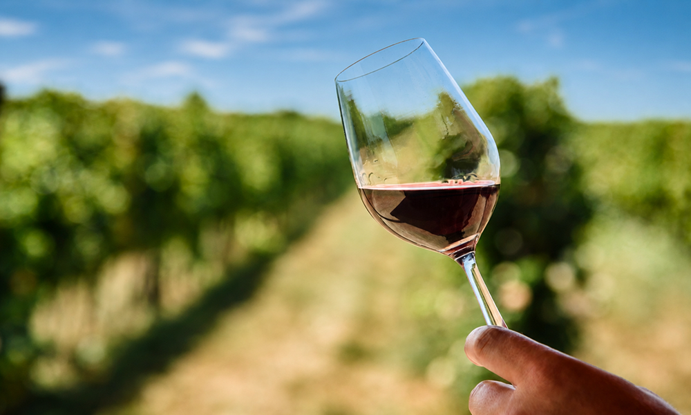 Wine Club 101: Red Wines for Summer
