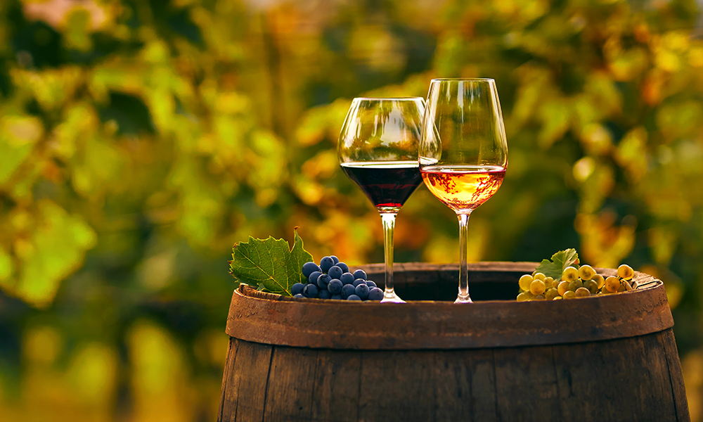 Wine Club 101: Rosé to Red